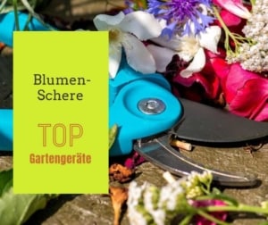 Blumenschere