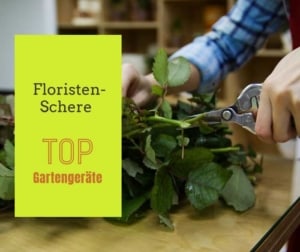 Floristenschere