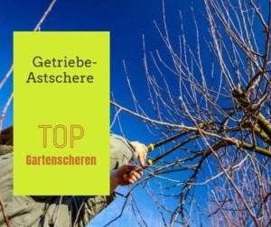 Getriebeastschere - die starke Astschere de.depositphotos.com