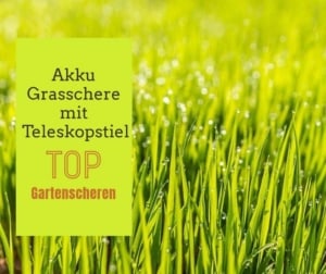 Akku Grasschere mit Teleskopstiel