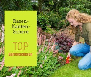 Rasenkantenschere für saubere Rasenkanten de.depositphotos.com