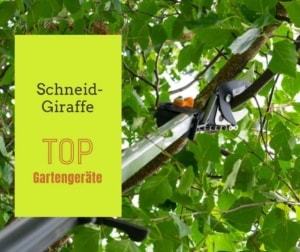 Schneidgiraffe de.depositphotos.com